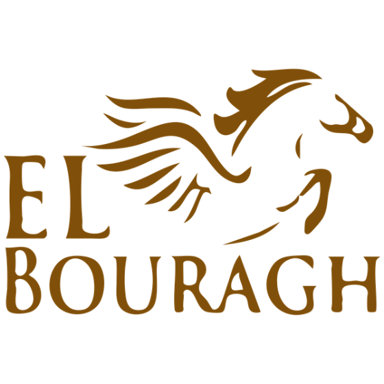 El Bouragh
