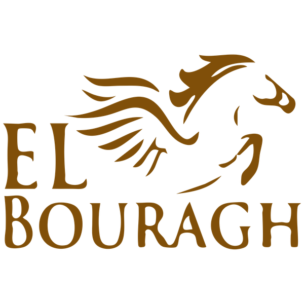 elbouragh.com